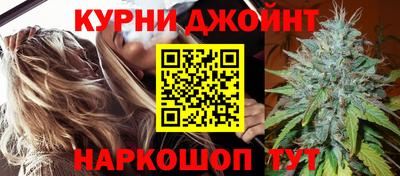 мдпв Гатчина