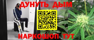 PSILOCYBIN Гай