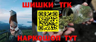 мдпв Гатчина