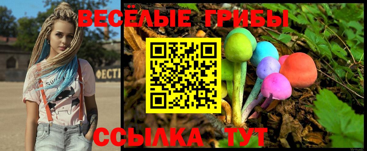 закладка  Галлюциногенные грибы мухоморы  Галлюциногенные грибы Psilocybine cubensis  Вход с VPN  Мичуринск 