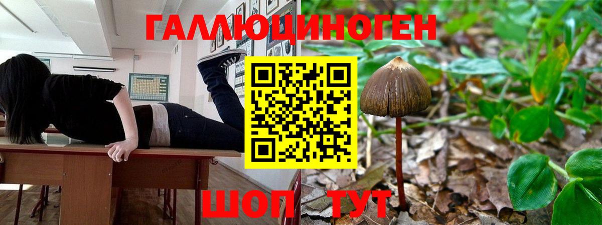Псилоцибиновые грибы Magic Shrooms Мичуринск